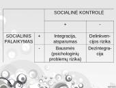 Nepatogus jaunimas – bausti ar pasigailėti? 14 puslapis