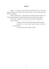 Gimtojo miesto (rajono) aplinkos ekologinės būklės įvertinimas: Būdviečių kaimas 2 puslapis