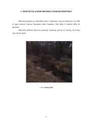 Gimtojo miesto (rajono) aplinkos ekologinės būklės įvertinimas: Būdviečių kaimas 3 puslapis