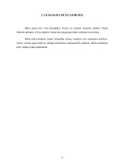 Gimtojo miesto (rajono) aplinkos ekologinės būklės įvertinimas: Būdviečių kaimas 9 puslapis