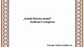 Senieji lietuvių amatai
