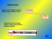Mechaninės bangos ir jų sklidimas 14 puslapis