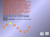 Mechaninės bangos ir jų sklidimas 6 puslapis