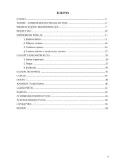 Gyvenamojo namo rekonstrukcija į svečių namus 2 puslapis