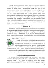 Gyvenamojo namo rekonstrukcija į svečių namus 12 puslapis