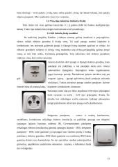 Gyvenamojo namo rekonstrukcija į svečių namus 13 puslapis