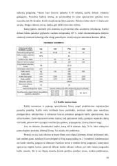 Gyvenamojo namo rekonstrukcija į svečių namus 20 puslapis