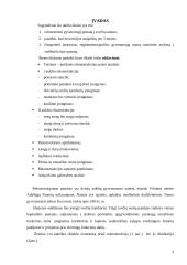 Gyvenamojo namo rekonstrukcija į svečių namus 3 puslapis