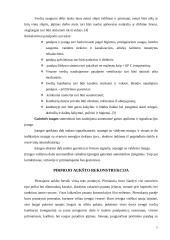 Gyvenamojo namo rekonstrukcija į svečių namus 7 puslapis