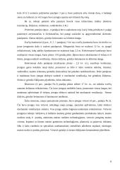 Gyvenamojo namo rekonstrukcija į svečių namus 8 puslapis