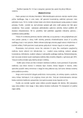 Gyvenamojo namo rekonstrukcija į svečių namus 10 puslapis