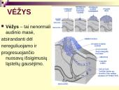 Vėžys - nekontroliuojamas ląstelių dalijimasis 2 puslapis