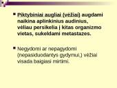 Vėžys - nekontroliuojamas ląstelių dalijimasis 11 puslapis