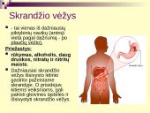 Vėžys - nekontroliuojamas ląstelių dalijimasis 16 puslapis