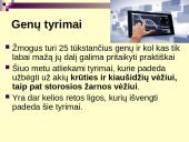 Vėžys - nekontroliuojamas ląstelių dalijimasis 19 puslapis