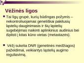 Vėžys - nekontroliuojamas ląstelių dalijimasis 3 puslapis