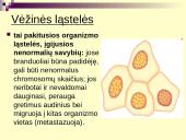 Vėžys - nekontroliuojamas ląstelių dalijimasis 6 puslapis