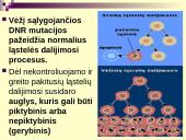 Vėžys - nekontroliuojamas ląstelių dalijimasis 7 puslapis