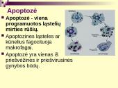 Vėžys - nekontroliuojamas ląstelių dalijimasis 8 puslapis