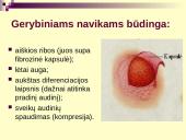 Vėžys - nekontroliuojamas ląstelių dalijimasis 10 puslapis