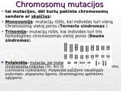 Mutacijos, mutagenai 13 puslapis