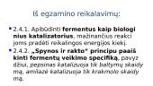 Fermentai - biologiniai katalizatoriai 2 puslapis