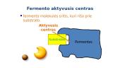 Fermentai - biologiniai katalizatoriai 11 puslapis