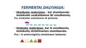 Fermentai - biologiniai katalizatoriai 12 puslapis