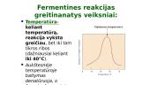 Fermentai - biologiniai katalizatoriai 17 puslapis
