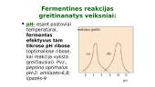 Fermentai - biologiniai katalizatoriai 19 puslapis