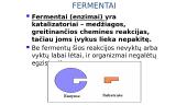 Fermentai - biologiniai katalizatoriai 3 puslapis
