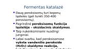Fermentai - biologiniai katalizatoriai 5 puslapis