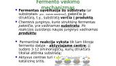 Fermentai - biologiniai katalizatoriai 7 puslapis