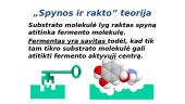 Fermentai - biologiniai katalizatoriai 9 puslapis