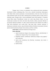 Konstitucinės žmogaus teisės 3 puslapis