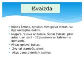 Paprastasis gružlys 2 puslapis