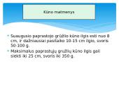 Paprastasis gružlys 3 puslapis