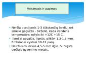 Paprastasis gružlys 4 puslapis