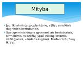 Paprastasis gružlys 5 puslapis