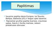 Paprastasis gružlys 6 puslapis