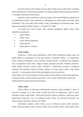 Globalių prekių identifikavimo priemonės 4 puslapis