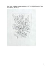 Kūrybinio darbo aprašas „Visas menas yra gamtos imitacija...“ 2 puslapis