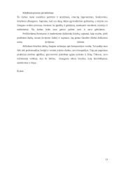 Kūrybinio darbo aprašas „Visas menas yra gamtos imitacija...“ 11 puslapis