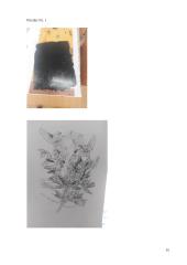 Kūrybinio darbo aprašas „Visas menas yra gamtos imitacija...“ 13 puslapis