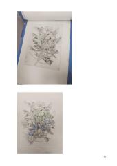 Kūrybinio darbo aprašas „Visas menas yra gamtos imitacija...“ 14 puslapis