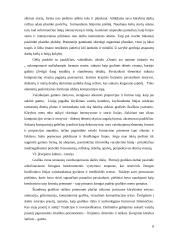 Kūrybinio darbo aprašas „Visas menas yra gamtos imitacija...“ 6 puslapis