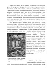 Kūrybinio darbo aprašas „Visas menas yra gamtos imitacija...“ 7 puslapis