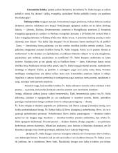 Hermeneutika ir Šventasis Raštas 6 puslapis