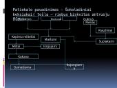 „Šokoladiniai keksiukai“ technologinė kortelė 8 puslapis