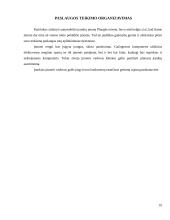 Autodetalių parduotuvės verslo planas 9 puslapis